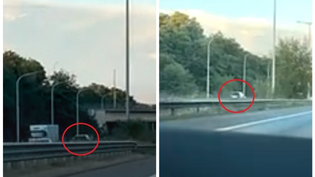 ipiccy_image (99).jpg