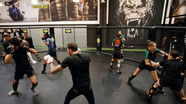 mma_academy_RTL_Play.jpg