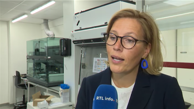 Le marché belge de la drogue devient de plus en plus complexe et risqué, révèlent les données de l'Institut national de criminalistique et de criminologie (INCC). Une analyse a été effectuée lors de grands festivals en 2024 et 2025. Ine Van Wymersch, commissaire nationale aux drogues, a analysé ces résultats.