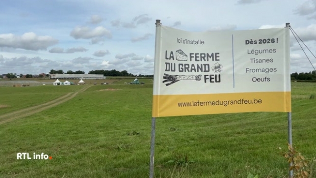 La Ferme du Grand Feu, à Bouge, est un projet agricole durable porté par 5 jeunes réunis en ASBL. Sur 10 ha, ils lanceront élevage, maraîchage, tisanerie et œufs, avec ventes en libre-service dès 2026.