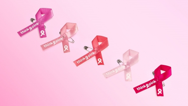 Rubans Roses_5 nuances_Fond Rose.jpg