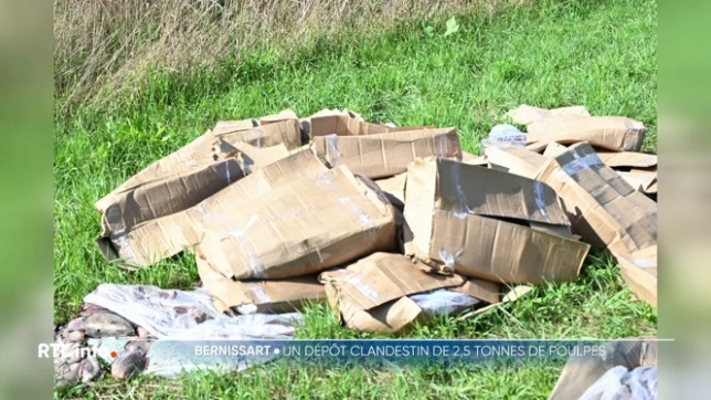 Plusieurs dépôts sauvages particulièrement interpellants ont été recensés dans le Hainaut, notamment des crustacés en grandes quantités. Plusieurs 2 tonnes de seiches et de homards ont ainsi été déposées le long d'un champ. L'AFSCA a ouvert une enquête qui semble bien progresser.