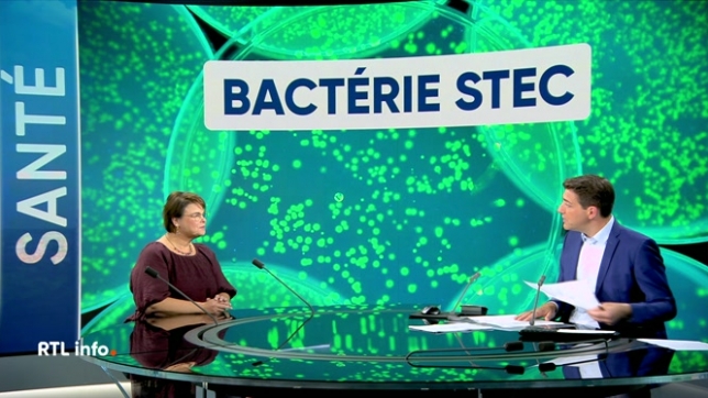 Invitée du RTL info 13h., Lara Kotlar, porte-parole de l'AVIQ, donne son éclairage sur la bactérie STEC. Qu'est-ce que cette bactérie ? Quels sont les modes de contamination et les symptômes ? Faut-il s'inquiéter ?
