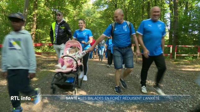Une étude récente vient de rappeler à quel point le contact avec la nature peut apaiser et avoir un impact notamment sur l'anxiété. Se promener en forêt pourrait être un excellent moyen de lutter contre le stress.