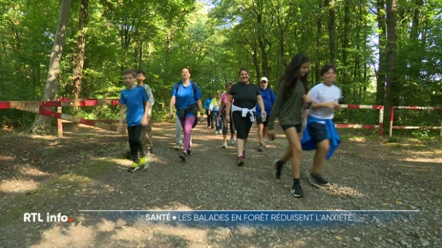 Selon une étude récente, se promener dans les bois et dans la nature agit comme un véritable anti-stress et agit sur l'anxiété. Une solution 100% naturelle !