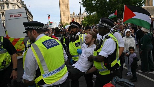 Un manifestant arrêté par la police de Londres lors d’un rassemblement à une organisation interdite par les autorités.