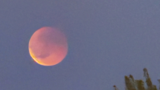 Photo lune de sang.jpeg