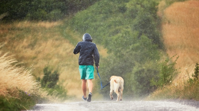 Homme et son chien sous la pluie