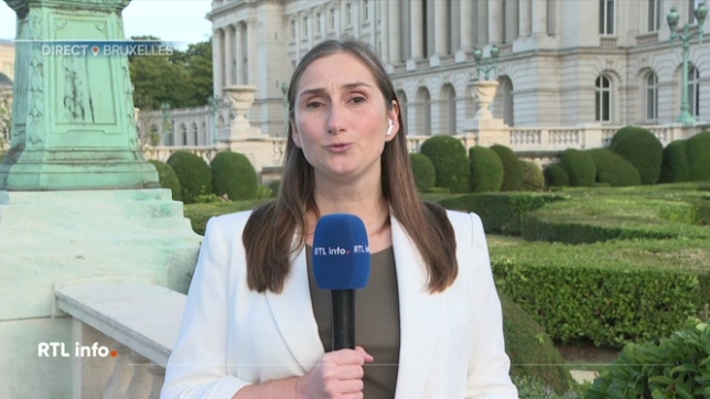 Le Palais royal ne souhaite pas réagir à la reconnaissance par le prince Laurent de Clement Vandenkerckhove, fils d'Iris Vandenkerckhove — mieux connue sous le nom de Wendy Van Wanten — comme étant son fils biologique.