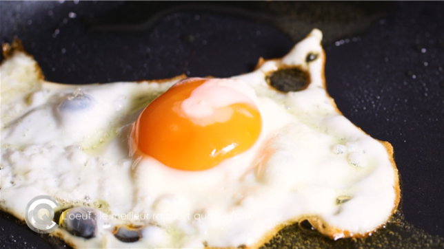 Riche en protéines, peu calorique et bon marché, l’œuf est l’un des meilleurs alliés nutritionnels du quotidien. À raison d’un par jour, il apporte autant qu’un petit steak et reste une source de protéines accessible à tous les budgets.