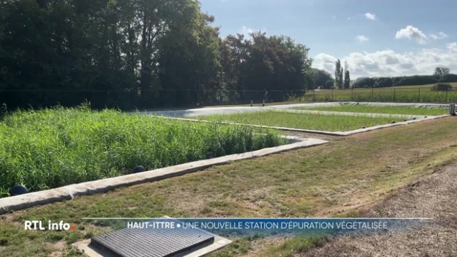 Une station d'épuration des eaux usées de nouvelle génération a été inaugurée à Haut-Ittre dans le Brabant Wallon. Cette station naturelle et végétalisée utilise des roseaux et des plantes aquatiques pour assainir et oxygéner les eaux sales.