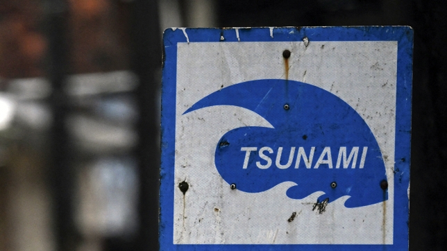 tsunami.jpg