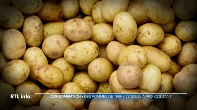 Un agriculteur namurois a décidé d'agir en urgence, car il ne parvient plus à vendre sa récolte de pommes de terre. Dès lors, il a décidé de les vendre à prix coûtant. Une initiative qui est un cri d'alarme lancé sur les difficultés du secteur confronté à une surproduction et à une chute des prix.