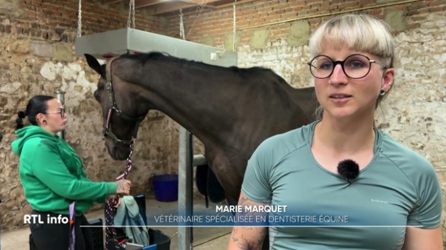 Originaire de Stavelot, la jeune femme est vétérinaire de formation. Elle s'est spécialisée dans le traitement dentaire des chevaux. Un métier en plein expansion. Rencontre dans une écurie à Awans.