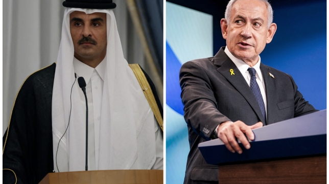 ipiccy_image - 2025-09-15T172319.005.jpg