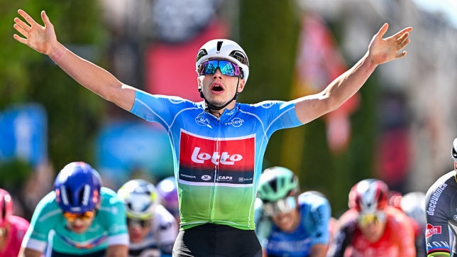 Belgaimage-132218962 copie.jpg