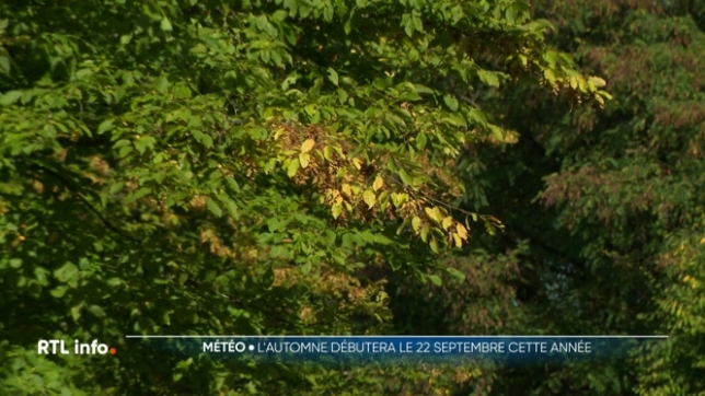 Pourquoi la saison des feuilles mortes ne suit-elle pas le calendrier classique ?
