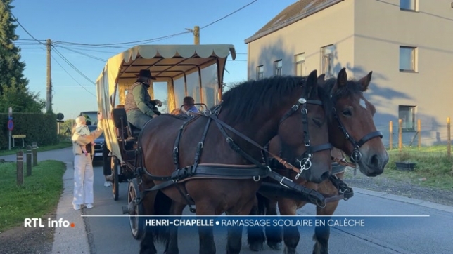 La commune de Welkenraedt a organisé un ramassage scolaire en calèche pour les enfants de l'école d'Henri-Chapelle à l'occasion du dernier jour de la semaine de la mobilité. Une bonne idée pour changer ses habitudes et d'essayer de nouveaux moyens de transport.