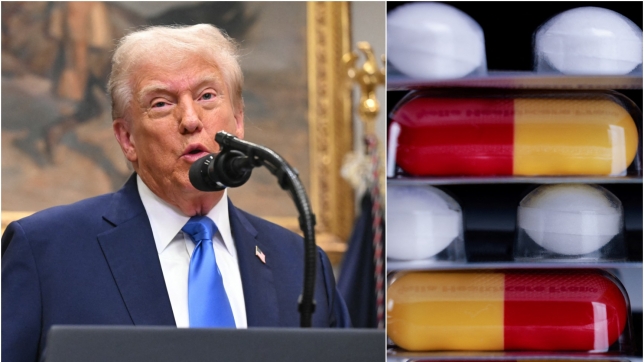 ipiccy_image (98).jpg