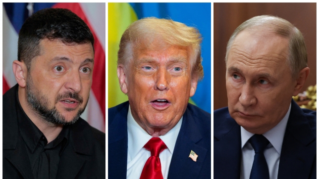 ipiccy_image - 2025-09-23T214117.835.jpg