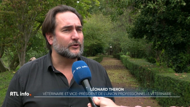 Les vétérinaires ont lancé un appel au gouvernement wallon, lui demandant de reconnaître un projet-pilote concernant le comportement des chiens dangereux. Chaque année, plus de 600 personnes sont hospitalisées suite à des morsures de chiens.