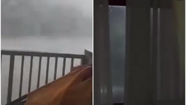 ipiccy_image (75).jpg