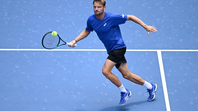 David Goffin à New York le 28 août dernier