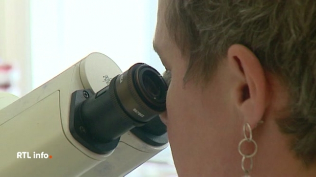 Selon l'enquête menée par l'AFSCA, c'est de la viande hachée crue qui est la source de contamination la plus probable à la bactérie E-Coli Stec détectée dans 11 établissements. Le parquet de Bruxelles ouvre une enquête judiciaire.