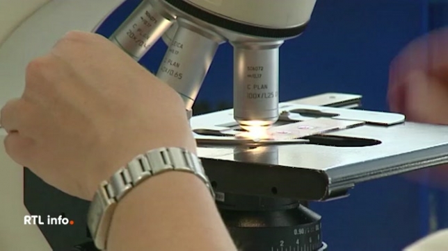 Selon l'enquête menée par l'AFSCA, c'est de la viande hachée crue qui est la source de contamination la plus probable à la bactérie E-Coli Stec détectée dans 11 établissements. Le parquet de Bruxelles ouvre une enquête judiciaire.