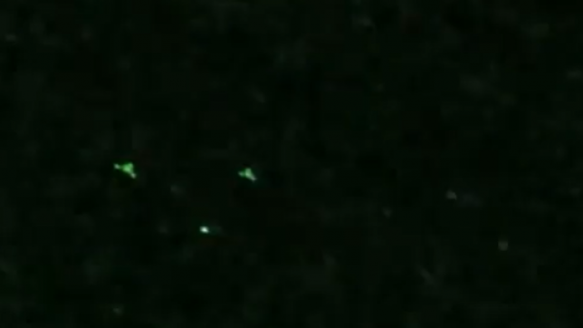 Capture d’écran 2025-09-29 063434.png