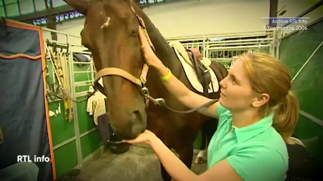 L'archive du jour replonge dans les coulisses d'un jumping international, les Equestrian Masters, qui réunissait les meilleurs cavaliers du monde en 2006. Les chevaux de compétition y étaient choyés comme de véritables stars par leurs palefreniers.