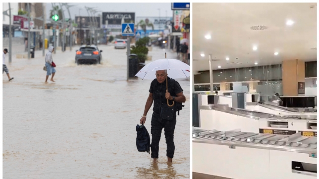 ipiccy_image - 2025-09-30T181839.803.jpg