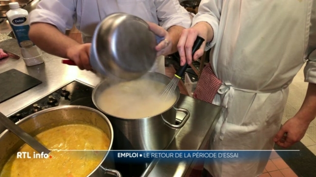 Le gouvernement De Wever souhaite réintroduire la période d'essai au travail, supprimée il y a 10 ans. Le ministre fédéral de l'Economie l'a confirmé et espère son application dès le 1er janvier. Durant les 6 premiers mois, le contrat de travail pourra être rompu avec une semaine de préavis.