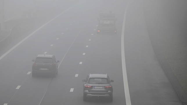 Cars drive on the highway on a foggy morning in Noduwez, Friday 17 January 2025. BELGA PHOTO ERIC LALMAND