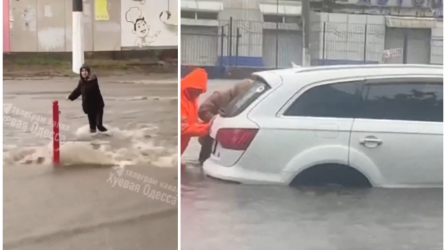 ipiccy_image - 2025-10-01T080905.028.jpg