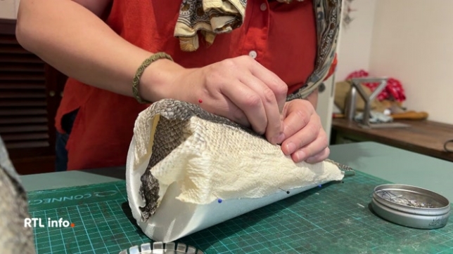 Une nouvelle boutique artisanale ouvre ses portes ce jeudi à Liège. Caroline Caucheteur est tanneuse… mais pas de cuir traditionnel. Elle travaille le cuir de poisson, un savoir-faire unique en Belgique.