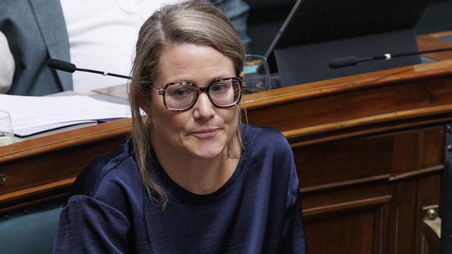 anneleen-van-bossuyt.jpg