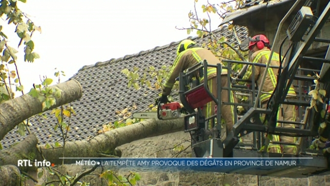 Les agents des services de secours de la zone Dinant-Philippeville ont été très sollicités ce matin. Ils ont même été submergés par les appels en l'espace d'une heure à peine. Beaucoup d'interventions mais, heureusement, sans gravité.