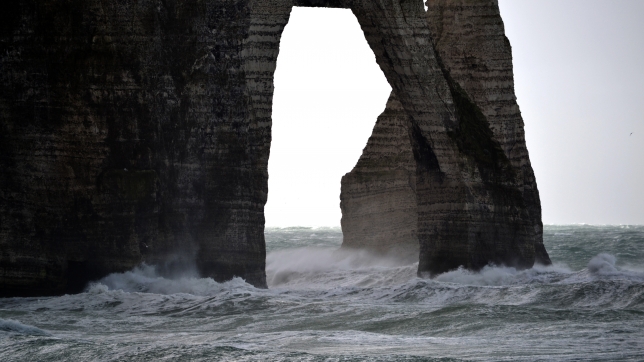 Image d’illustration