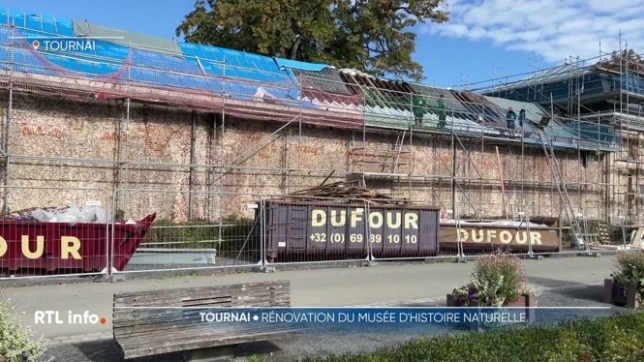 Le musée d'Histoire naturelle de Tournai, le plus ancien de Belgique, est en rénovation depuis avril. La réouverture est prévue pour mi-novembre, après un retard du chantier.
