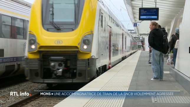 Une accompagnatrice de train a été violemment agressée ce dimanche entre La Louvière et Charleroi. Les faits se seraient produits lors du contrôle d'une famille : le ton est monté et les parents l'ont agressée physiquement.