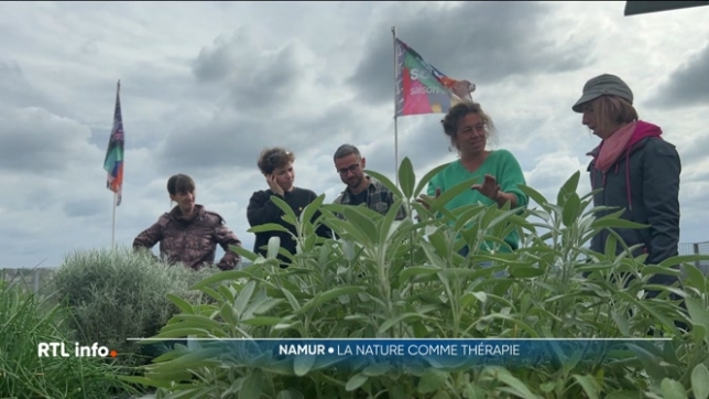 À Namur, l'ASBL Thera propose des activités en lien avec la nature comme le jardinage, la confection de tisanes ou encore des ateliers de cuisine pour se ressourcer et améliorer son bien-être.