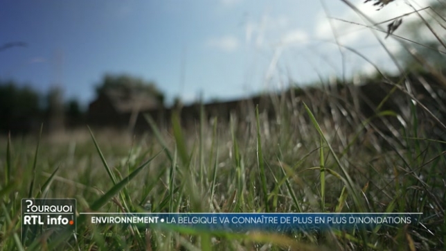 Les alertes de l'IRM pour de fortes précipitations se multiplient, tout comme le risque d'inondations dans plusieurs régions du pays. Pourquoi ces inondations risquent-elles de devenir plus fréquentes en Belgique ?