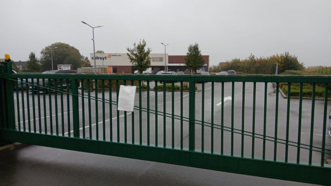 WhatsApp Image 2025-10-08 at 10.08.26.jpeg