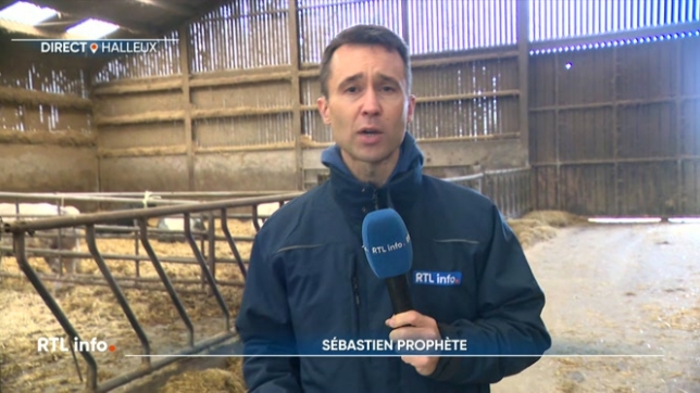 On retrouve en direct Sébastien Prophète pour faire le point sur l'augmentation de la viande bovine avec un agriculteur de La Roche-en-Ardenne.