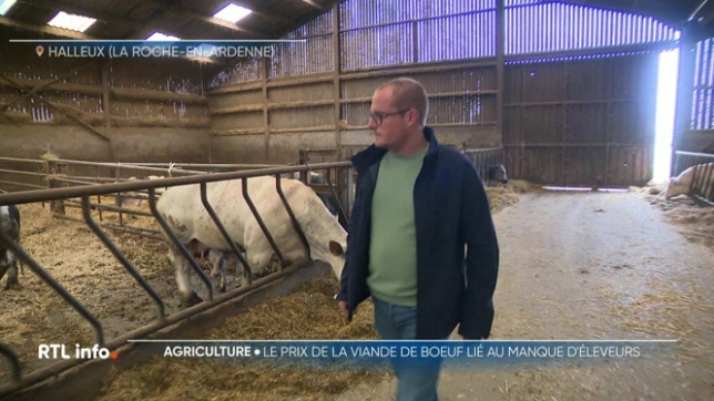 Le prix de la viande bovine a augmenté de 17% en un an. Alors, comment expliquer une hausse aussi importante ? Pourquoi la viande coûte-t-elle de plus en plus cher ?