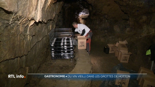 Un vigneron belge, qui produit son vin en France, a décidé de le faire vieillir dans une grotte, en l'occurrence dans celle de Hoton. Plusieurs facteurs comme l'humidité, l'obscurité et la température permettraient d'améliorer considérablement la qualité du vin.