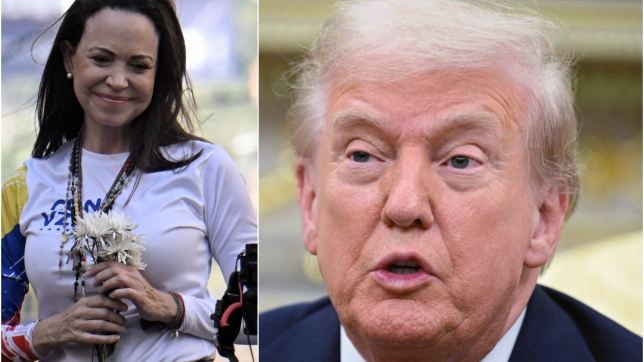 ipiccy_image - 2025-10-10T110750.321.jpg