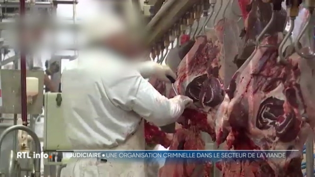 Des contrôles ont été menés dans plusieurs entreprises, et notamment des abattoirs. L'opération avait pour but de lutter contre la fraude sociale, le trafic d'êtres humains et le blanchiment d'argent. 18 personnes ont été interpellées administrativement.