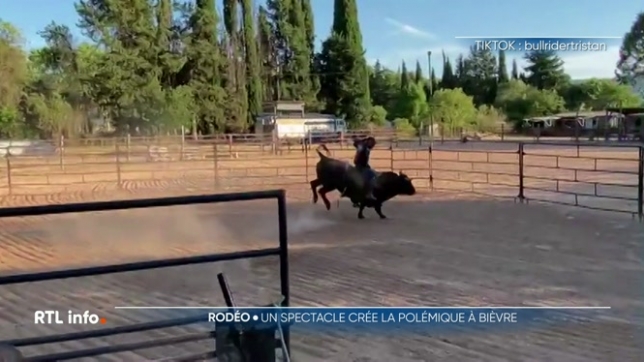 Ce week-end, 1.600 spectateurs sont attendus à Bièvre pour assister à un rodéo. Mais Gaia, l'organisation de défense des animaux, parle de maltraitance et milite pour l'interdiction de ce genre d'événement.